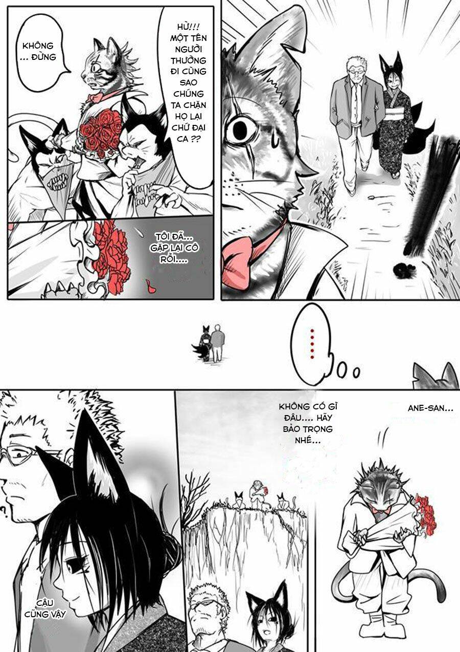 Kitsune Spirit Chương 2 Ảnh 5