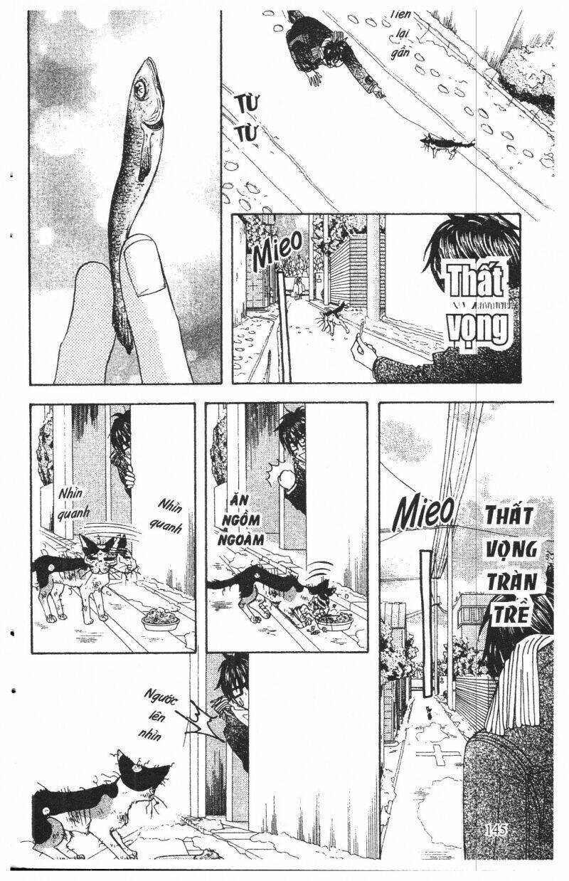 Kirara No Hoshi Chương 6 Ảnh 146