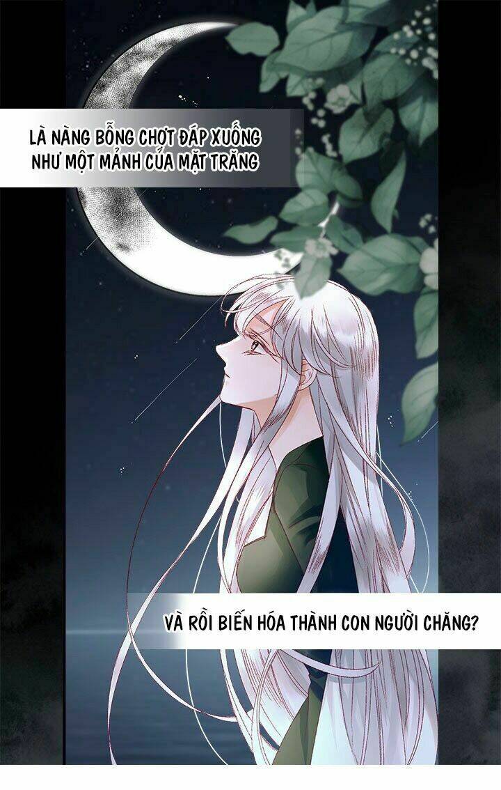 Người Tình Của Hoàng Đế Chương 9 Ảnh 36