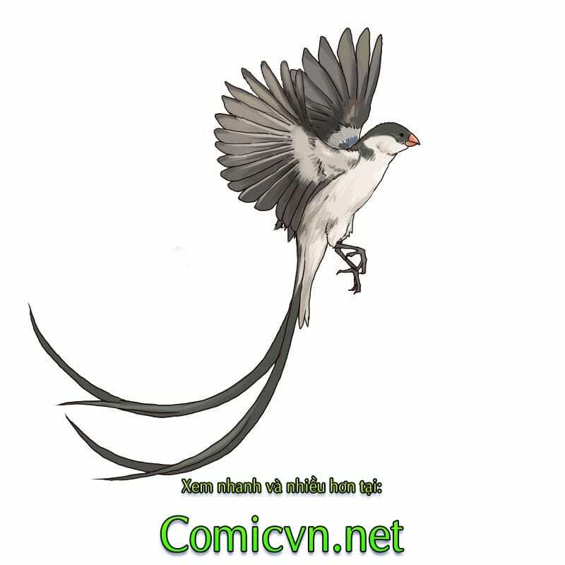 Thế Giới Cận Tử Chương 2 Ảnh 28