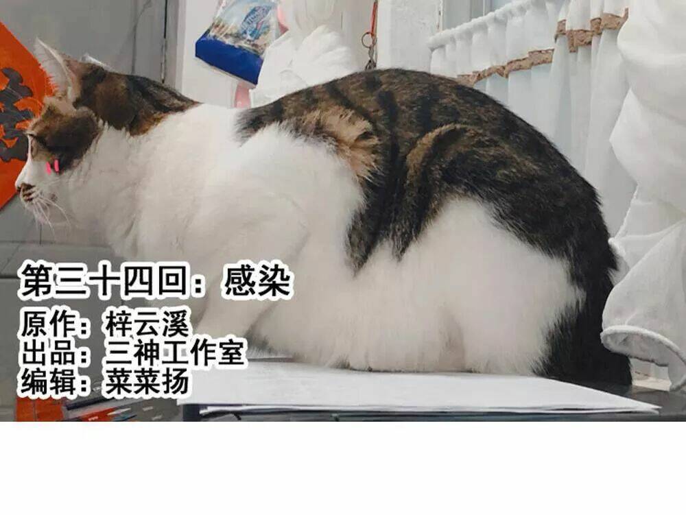 Thái Tử Phi Nhà Ta Thật Hung Hăng Chương 34 Ảnh 2