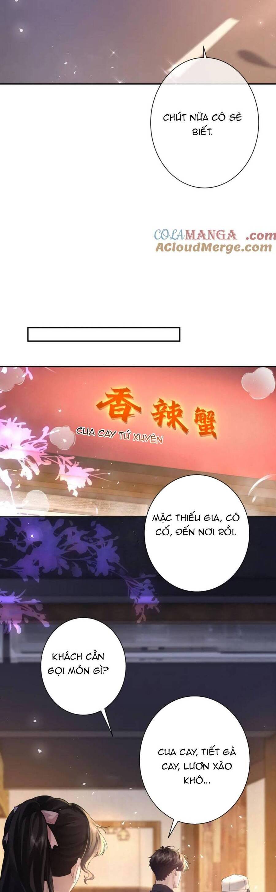 Tổng Tài Cố Chấp Xin Hãy Buông Tha Tôi Chương 11 Ảnh 16