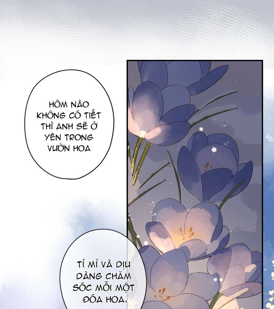 Tiệm Hoa Hướng Dương Góc Phố Chương 62 Ảnh 39