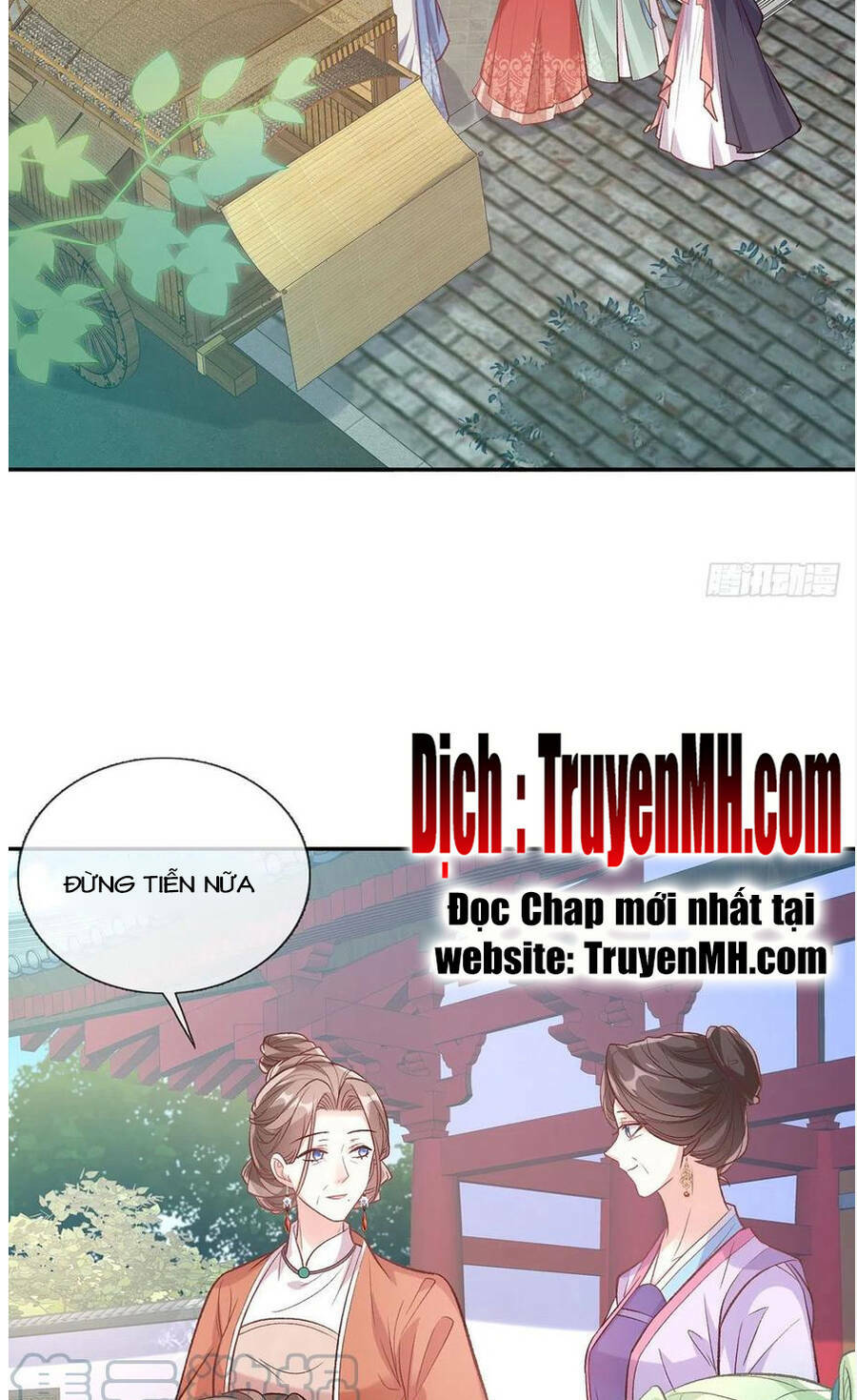 Kiều Mỵ Phu Lang, Tại Tuyến Lục Trà Chương 113 Ảnh 11