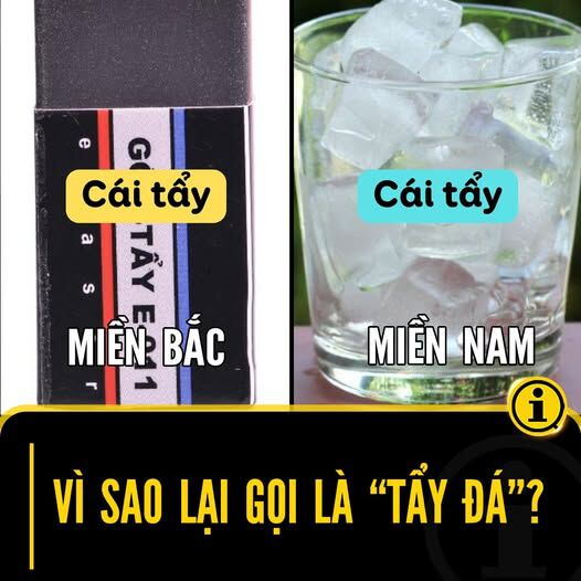 Hổ Đến Chơi Nhà (Puchimasu Miếu) Chương 137 Ảnh 86