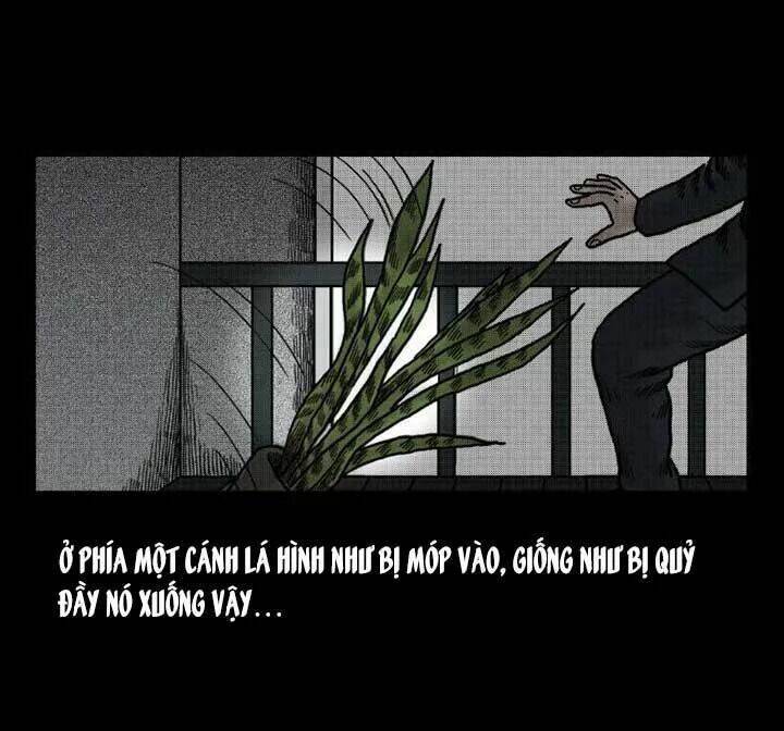 Kỳ Án Có Thật Chương 39 Ảnh 16