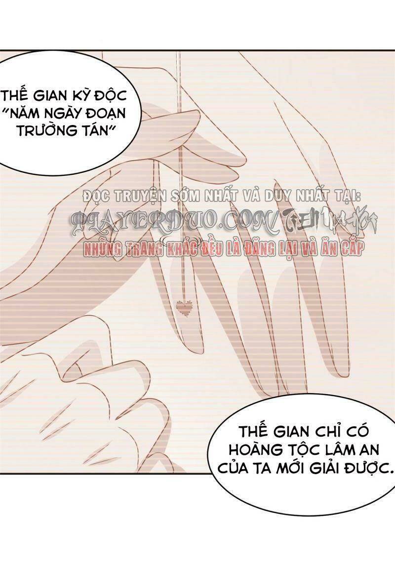 Bạo Quân Đừng Chạy, Công Chúa Muốn Vong Quốc Chương 12 Ảnh 24
