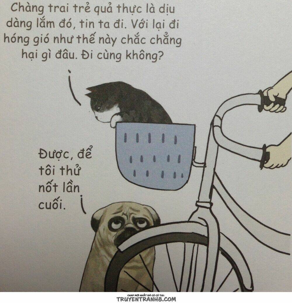 Cuộc Sống Thượng Lưu Của Hoàng Đế Mèo Chương 9 Ảnh 13