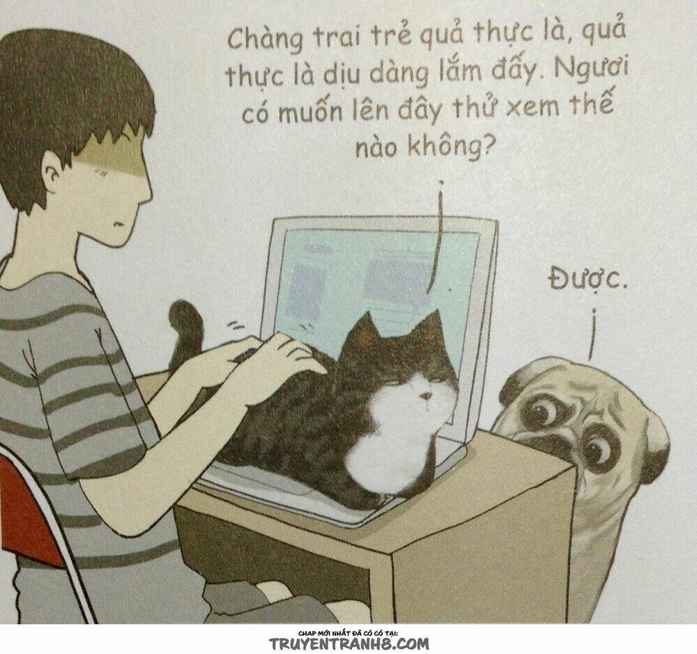 Cuộc Sống Thượng Lưu Của Hoàng Đế Mèo Chương 9 Ảnh 11