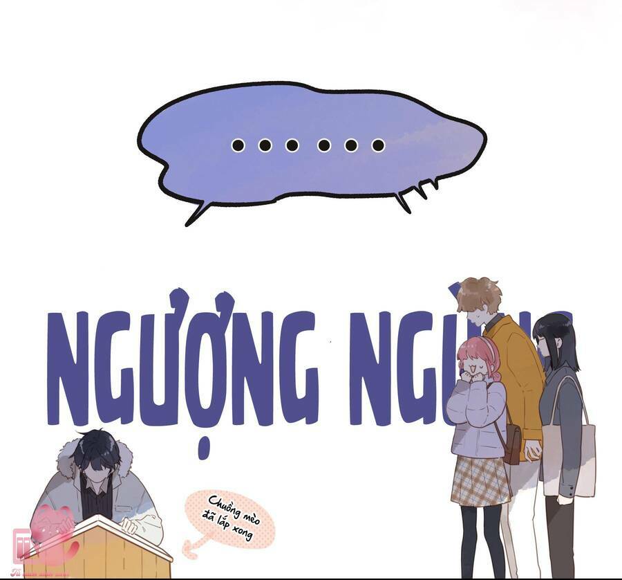 Tiệm Hoa Hướng Dương Góc Phố Chương 67 Ảnh 36