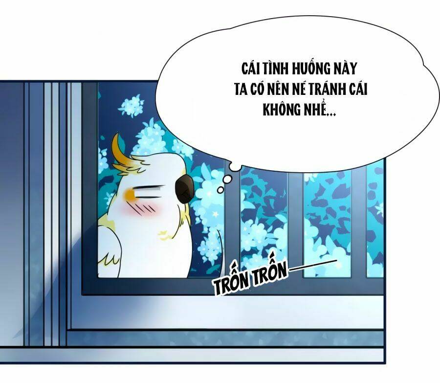 Huyền Vũ Luyến Ca: Vạn Vật Sinh Linh Chương 33.1 Ảnh 11