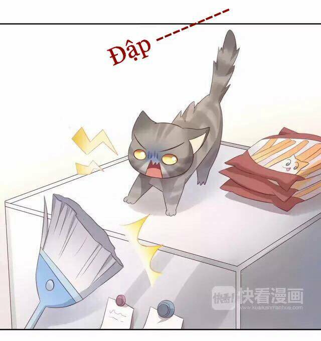 Dưới Móng Vuốt Mèo Chương 20 Ảnh 22