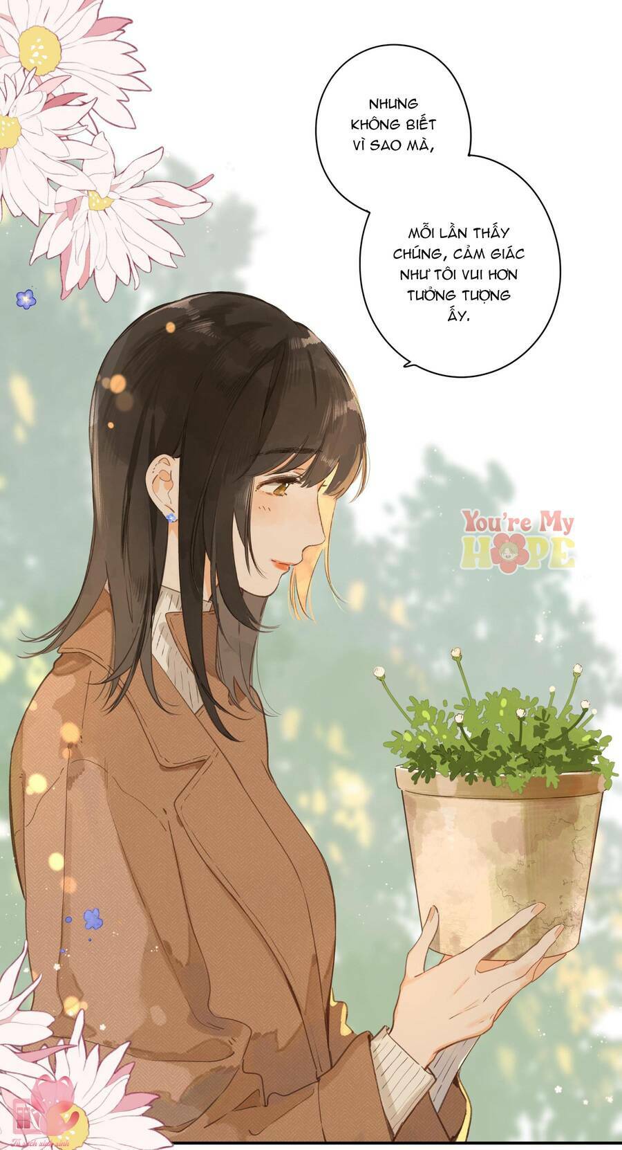 Tiệm Hoa Hướng Dương Góc Phố Chương 65 Ảnh 34