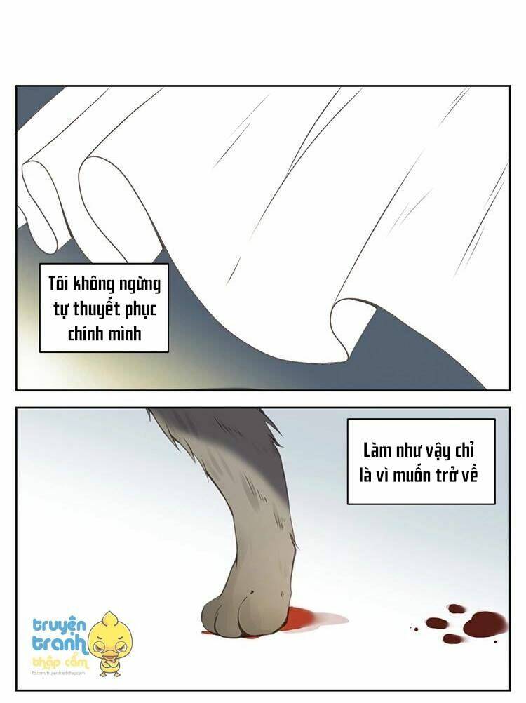 Cứu Mạng ! Loài Mèo Thống Trị Thế Giới Rồi ! Chương 26 Ảnh 15