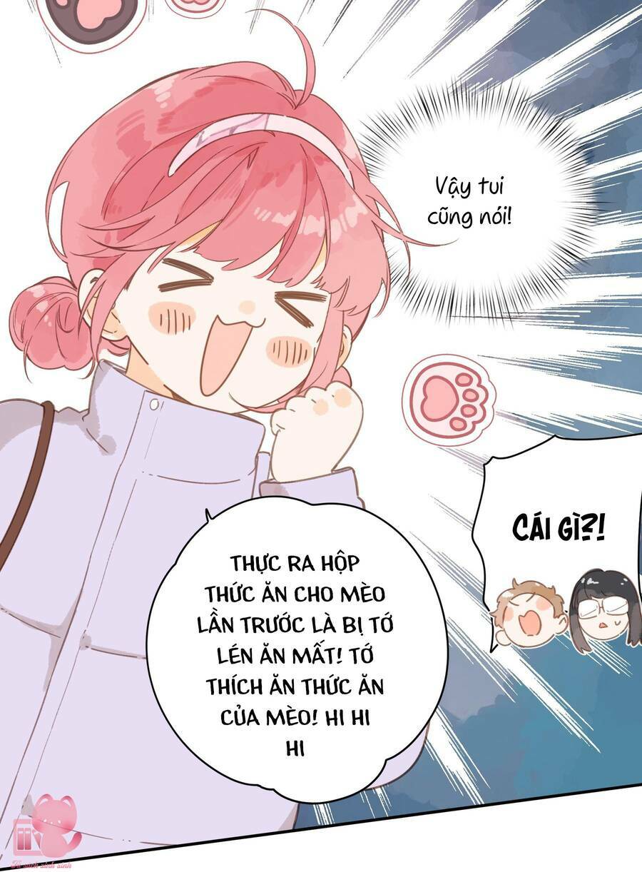 Tiệm Hoa Hướng Dương Góc Phố Chương 67 Ảnh 40