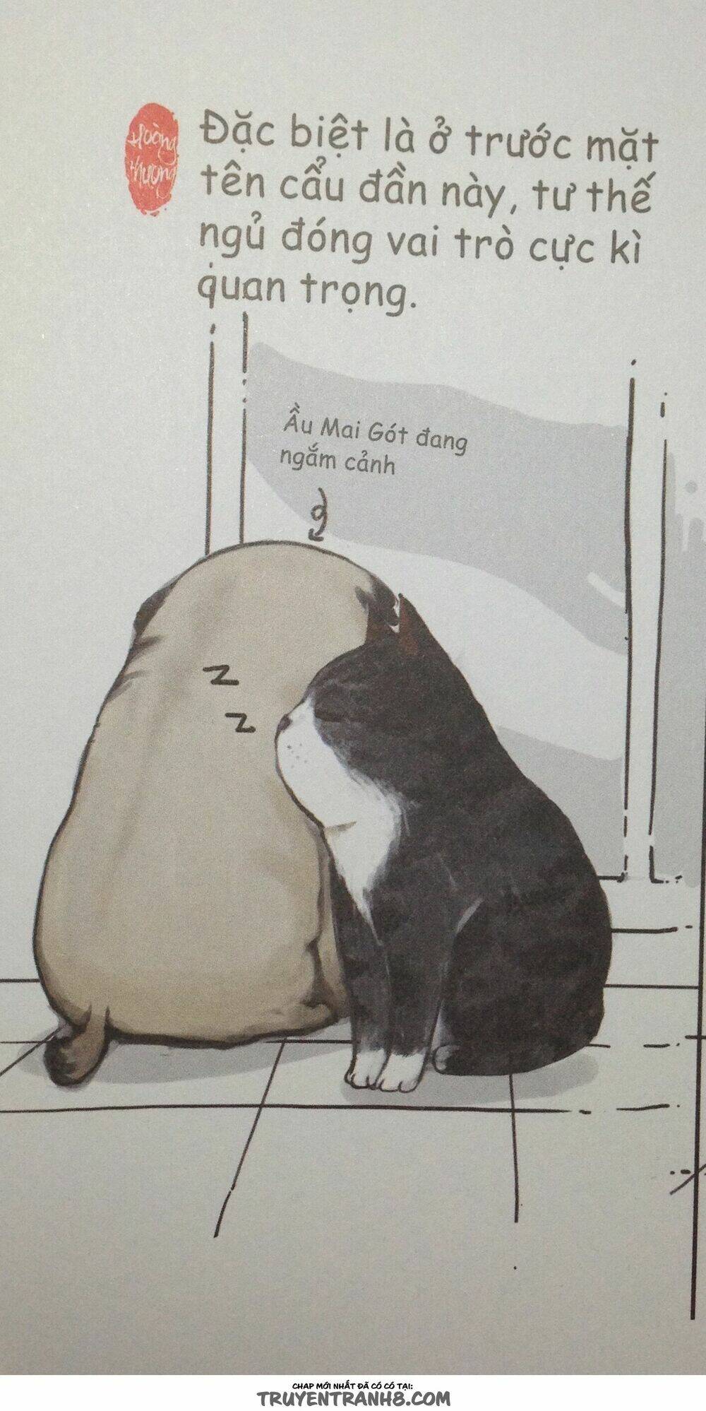 Cuộc Sống Thượng Lưu Của Hoàng Đế Mèo Chương 8 Ảnh 4