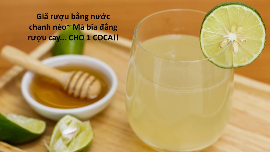 Hổ Đến Chơi Nhà (Puchimasu Miếu) Chương 137 Ảnh 81
