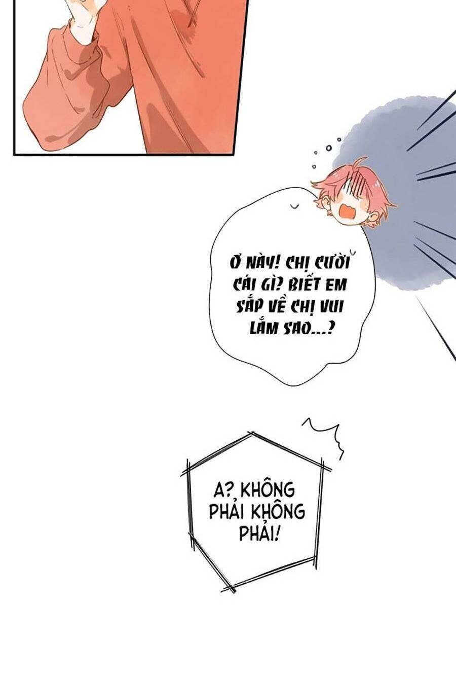 Tiệm Hoa Hướng Dương Góc Phố Chương 77 Ảnh 28