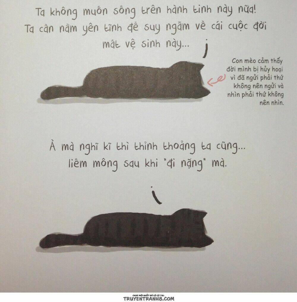 Cuộc Sống Thượng Lưu Của Hoàng Đế Mèo Chương 9 Ảnh 2