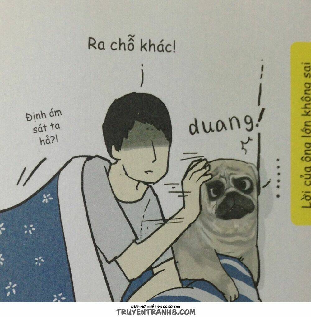 Cuộc Sống Thượng Lưu Của Hoàng Đế Mèo Chương 9 Ảnh 8