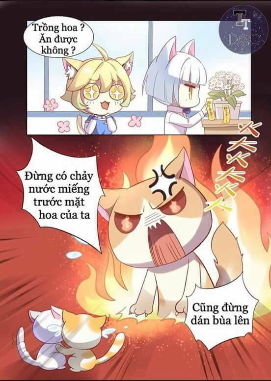 Dưới Móng Vuốt Mèo Chương 2 Ảnh 26