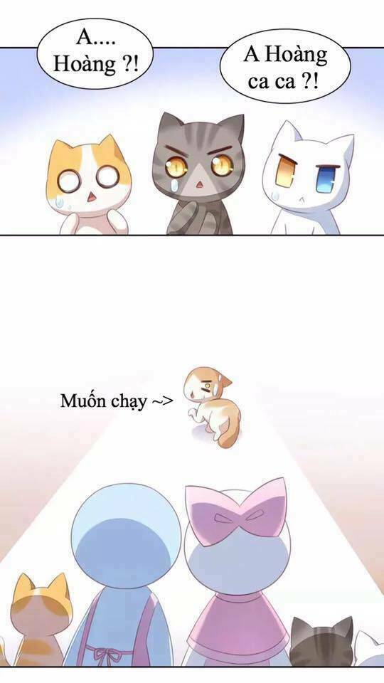Dưới Móng Vuốt Mèo Chương 14 Ảnh 19