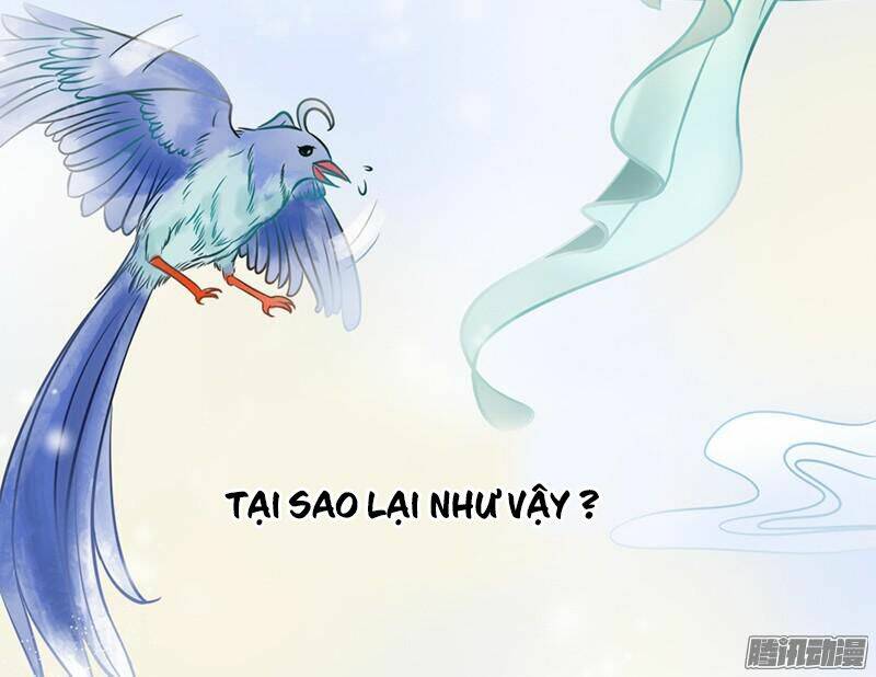 Tình Nhân Kiếp Trước Là Vĩ Hồ Chương 1 Ảnh 21