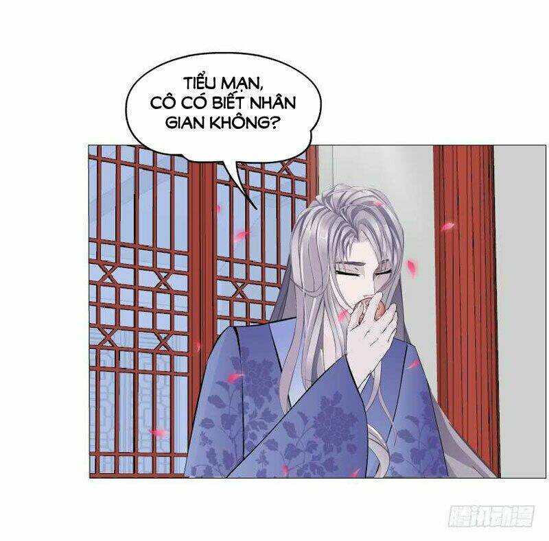 Beauty And Demon Chương 139 Ảnh 14