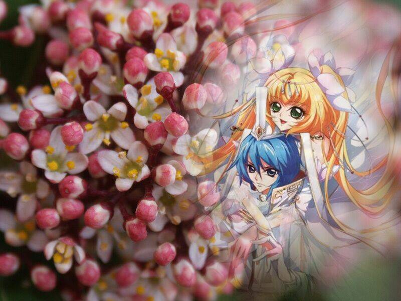 Tổng Hợp Ảnh Ghép Dành Cho Fan A3 Manga Chương 8.1 Ảnh 2