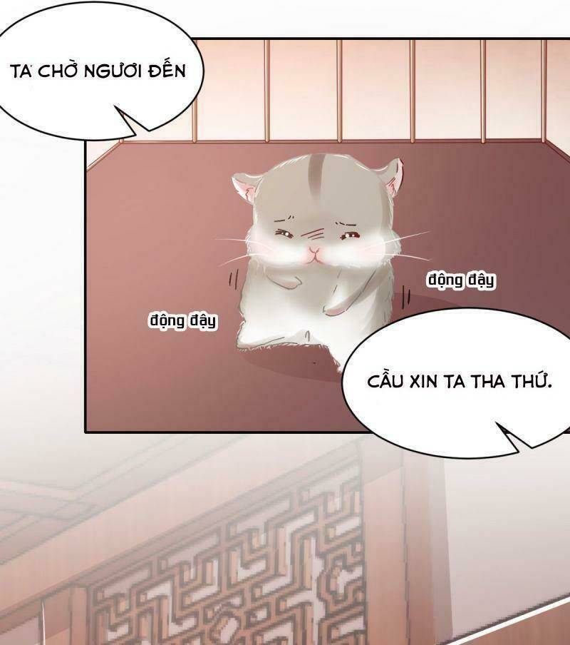 Bạo Quân Đừng Chạy, Công Chúa Muốn Vong Quốc Chương 13 Ảnh 4