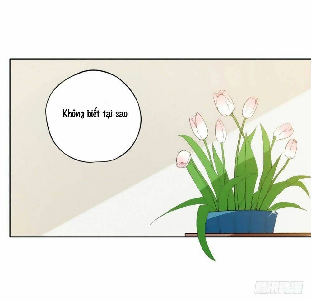 Thiên Kim Đường Môn Chương 84 Ảnh 34