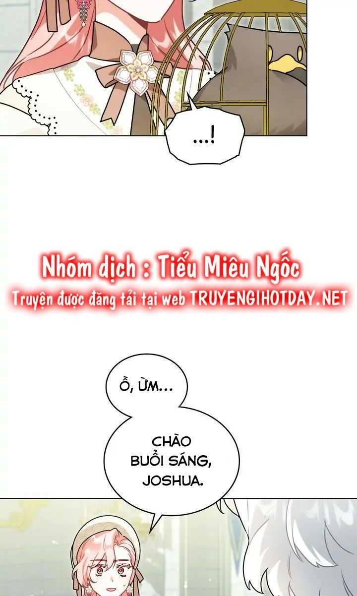 Ánh Sáng Vàng Của Bình Minh Chương 66 Ảnh 12