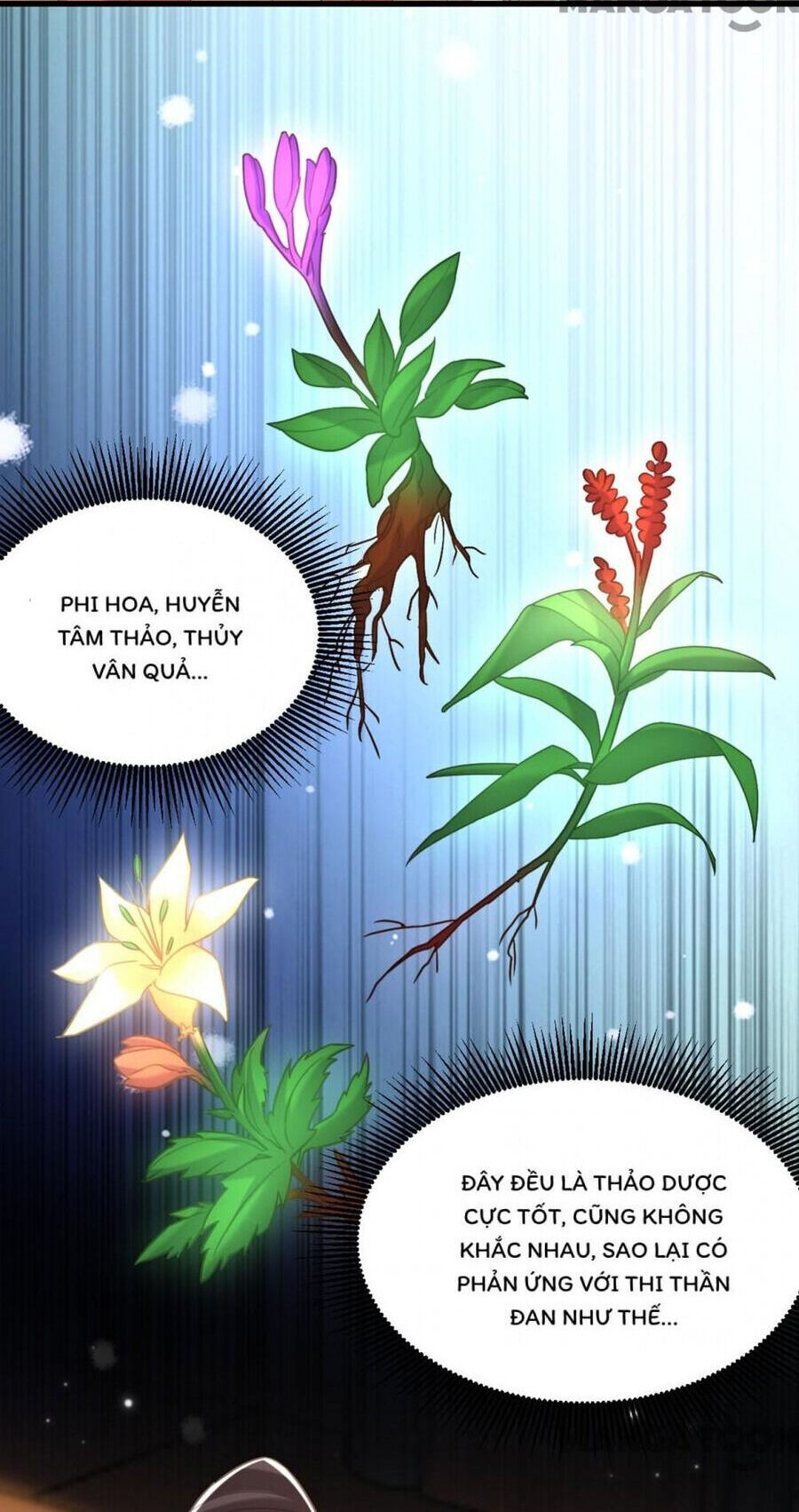 Trùng Sinh Không Gian: Cô Vợ Hào Môn Nóng Bỏng Không Dễ Chọc Chương 425 Ảnh 3