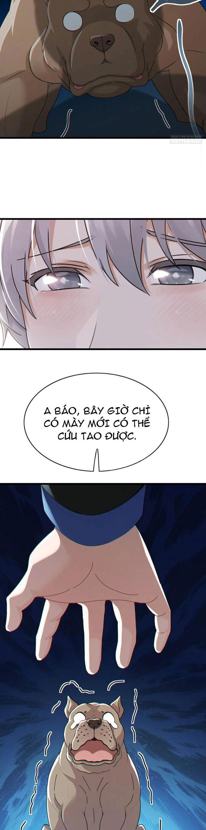 Đại Lão Xuống Núi: Bắt Đầu Từ Việc Trở Thành Thư Ký Chương 100 Ảnh 17