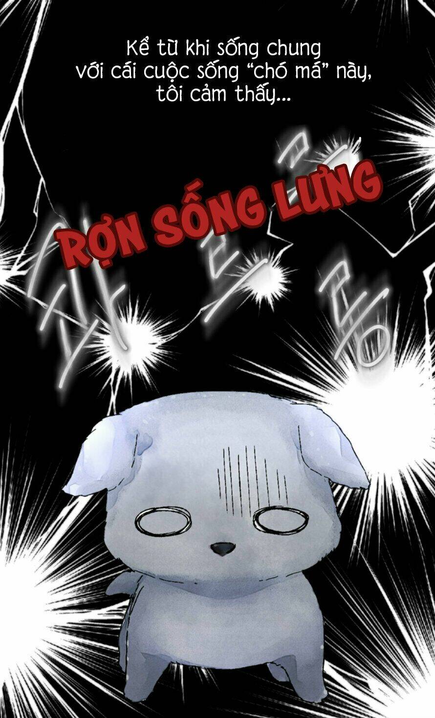 Cún Con Đáng Yêu Của Vị Hoàng Đế! Chương 0 Ảnh 21