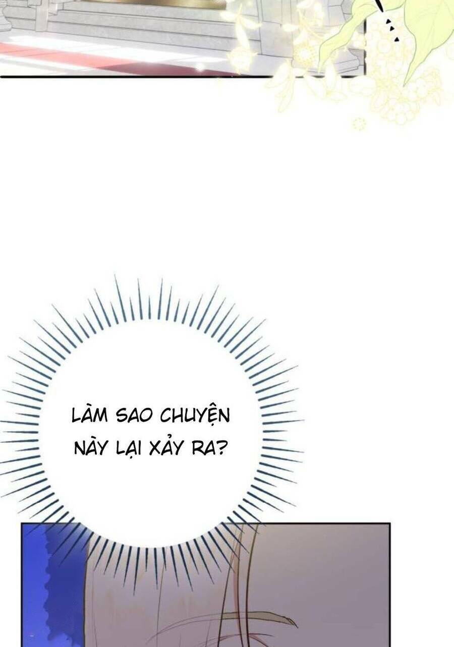 Đại Úy! Chiến Trường Lần Này Là Nơi Này Sao? Chương 46.1 Ảnh 61