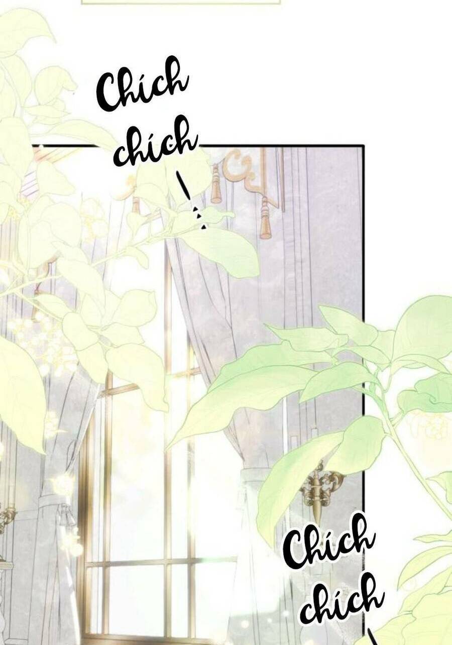 Đại Úy! Chiến Trường Lần Này Là Nơi Này Sao? Chương 46.1 Ảnh 60