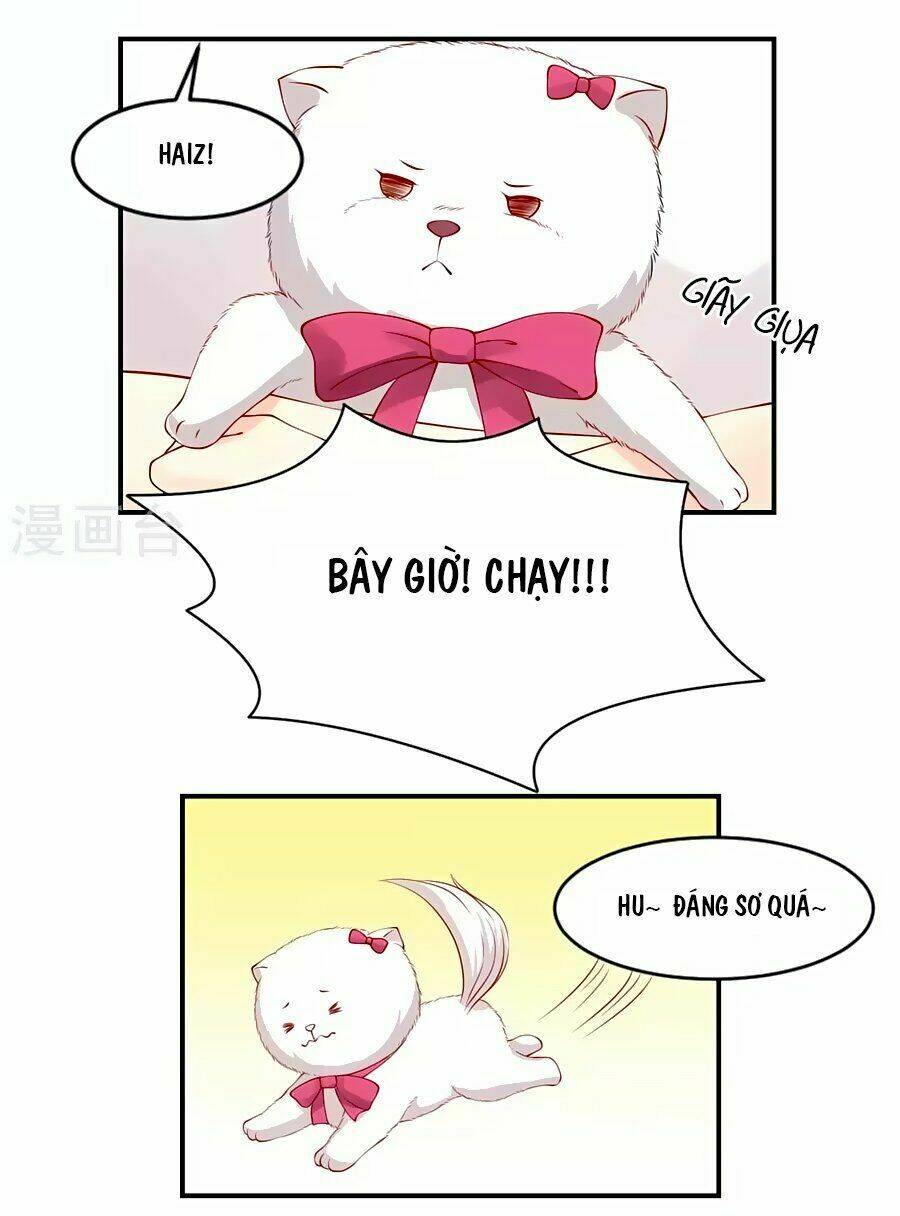 Trung Khuyển Và Tình Nhân Chương 4 Ảnh 10