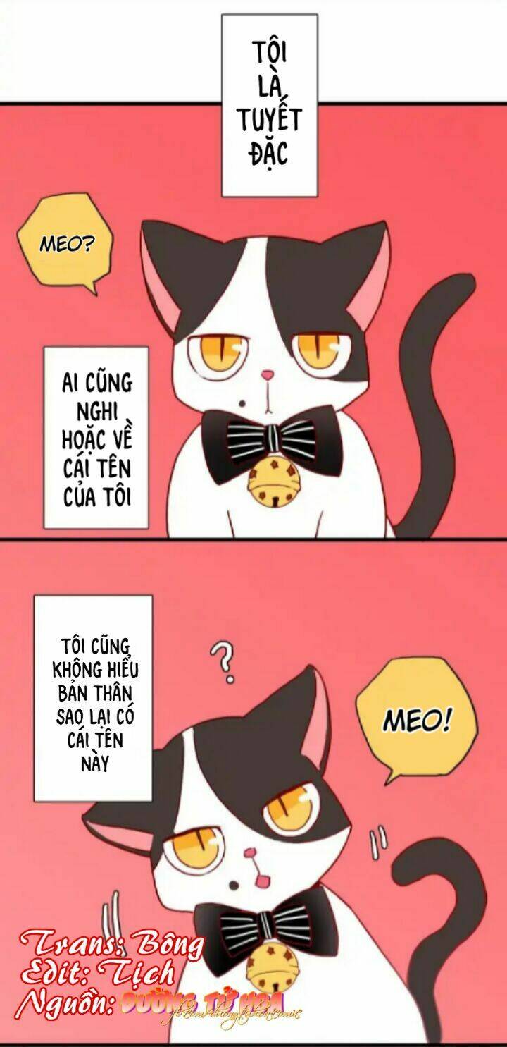 GấU Nhỏ Dư Và Thỏ Thỏ HứA Chương 13 Ảnh 19