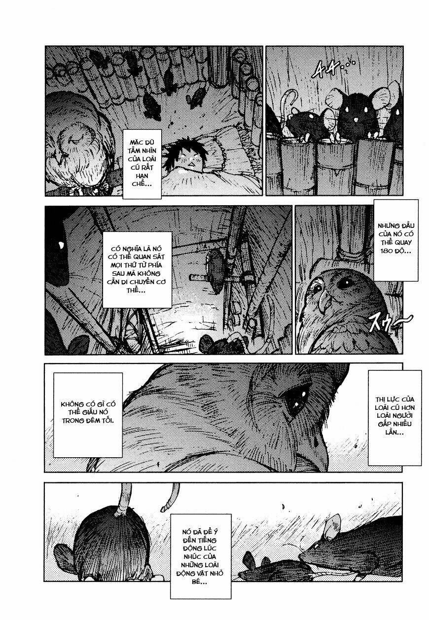 Survival - Shounen S No Kiroku Chương 25 Ảnh 3