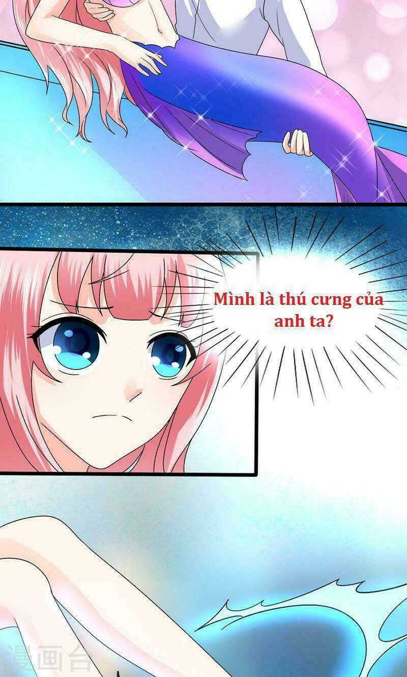 Sủng Vật Người Cá Của Tổng Tài Chương 4 Ảnh 8