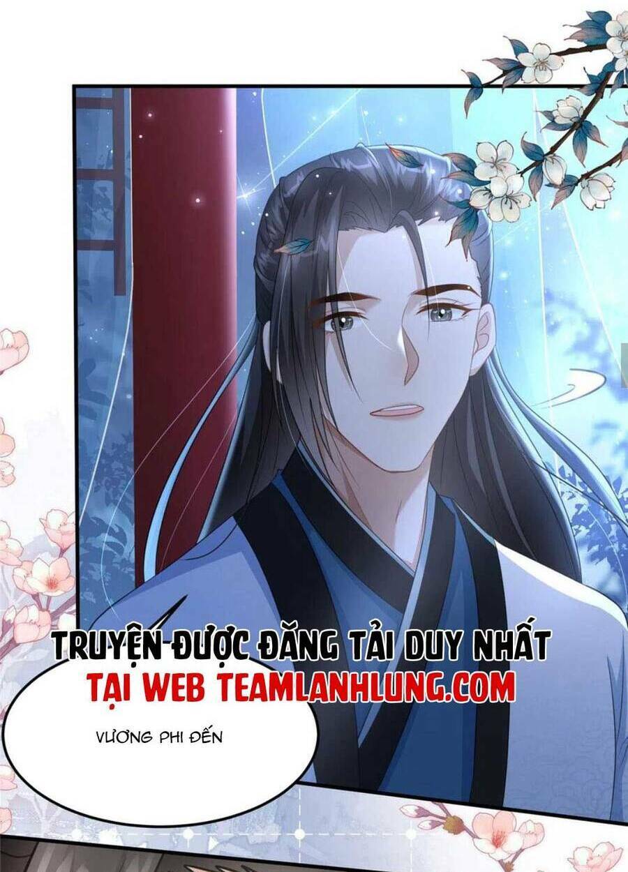Xuyên Qua Làm Vương Phi Xinh Đẹp Của Vương Gia Chương 31 Ảnh 28