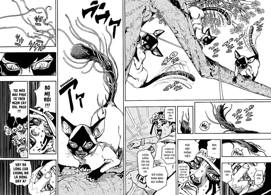 Cuộc Phiêu Lưu Kỳ Bí Của Jojo Phần 9: The Jojolands Chương 7 Ảnh 13