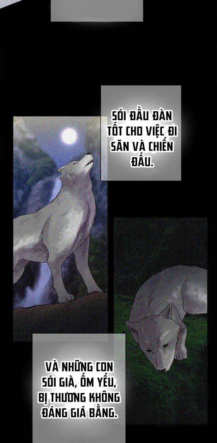 Bánh Răng Thời Gian Chương 28 Ảnh 24