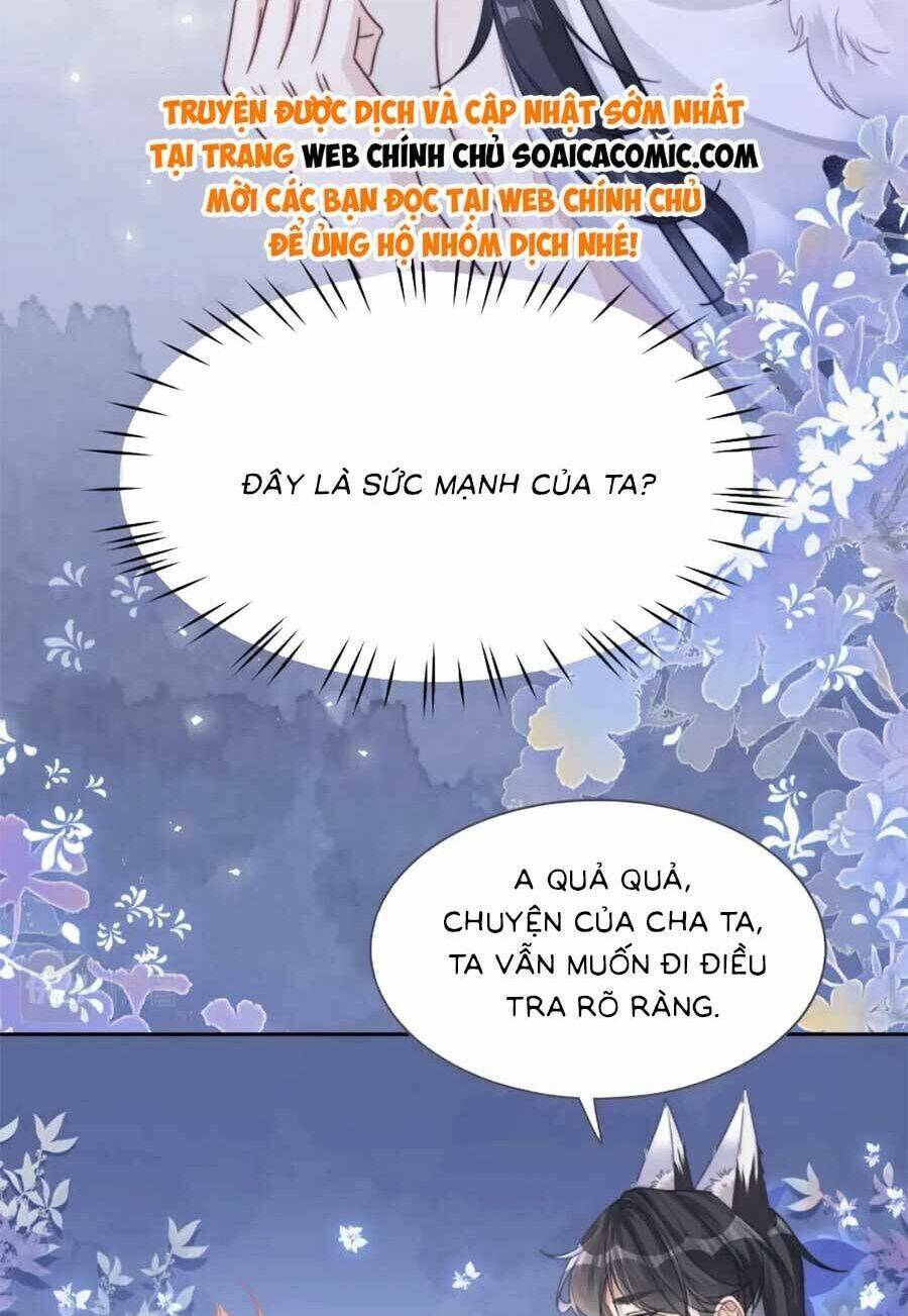 Xuyên Nhanh Nữ Phụ Bình Tĩnh Chút Chương 172 Ảnh 8