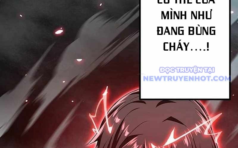 Vượt Cấp Với Kỹ Năng Thần Thánh Chương 7 Ảnh 207