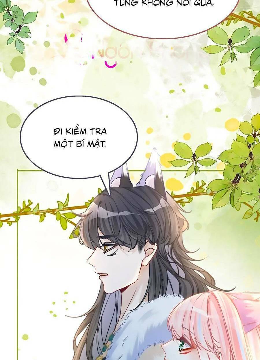 Xuyên Nhanh Nữ Phụ Bình Tĩnh Chút Chương 164 Ảnh 6