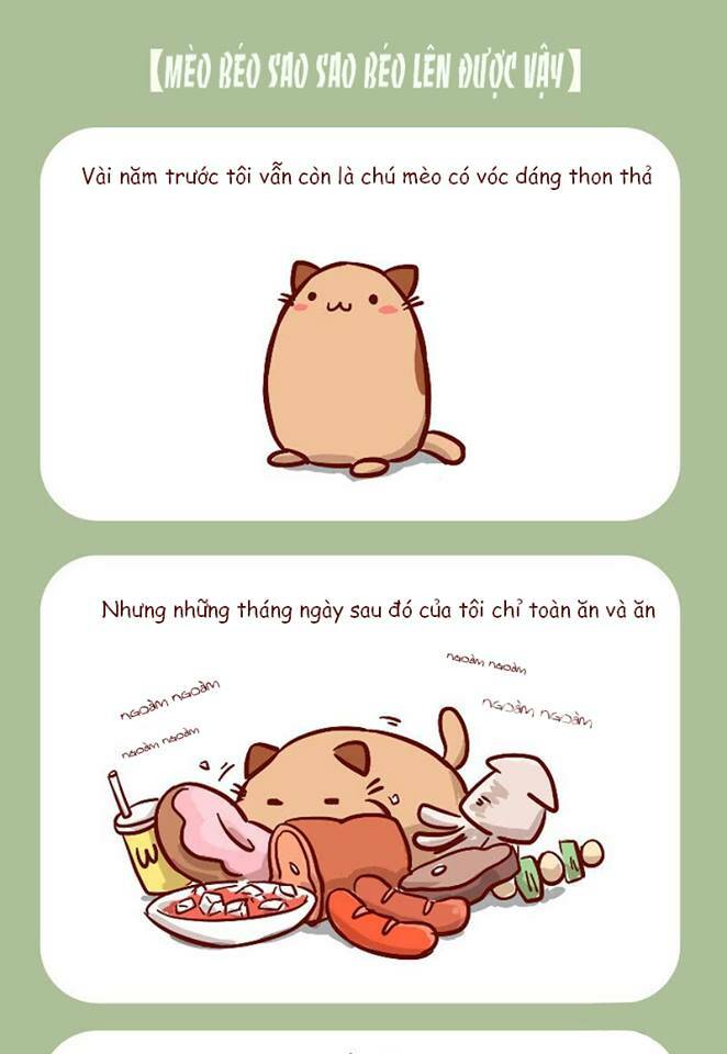 Mèo Béo Và Thỏ Giấy Chương 0 Ảnh 4