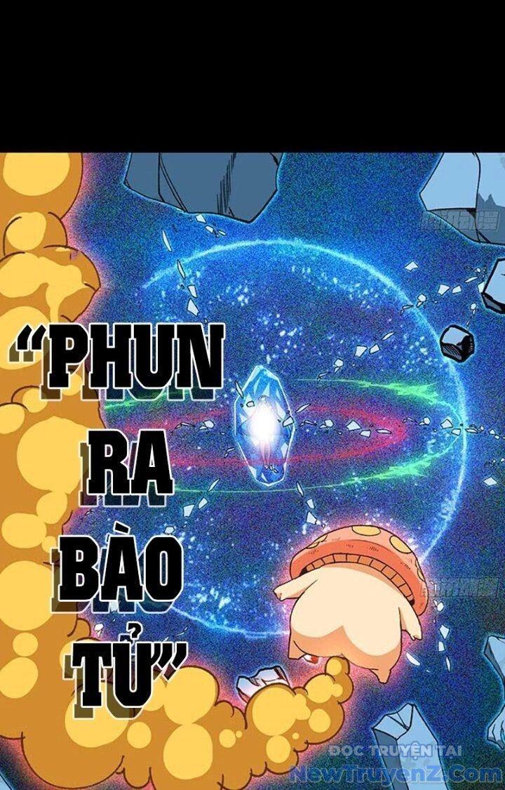 Dũng Sĩ Nấm Chương 110 Ảnh 14