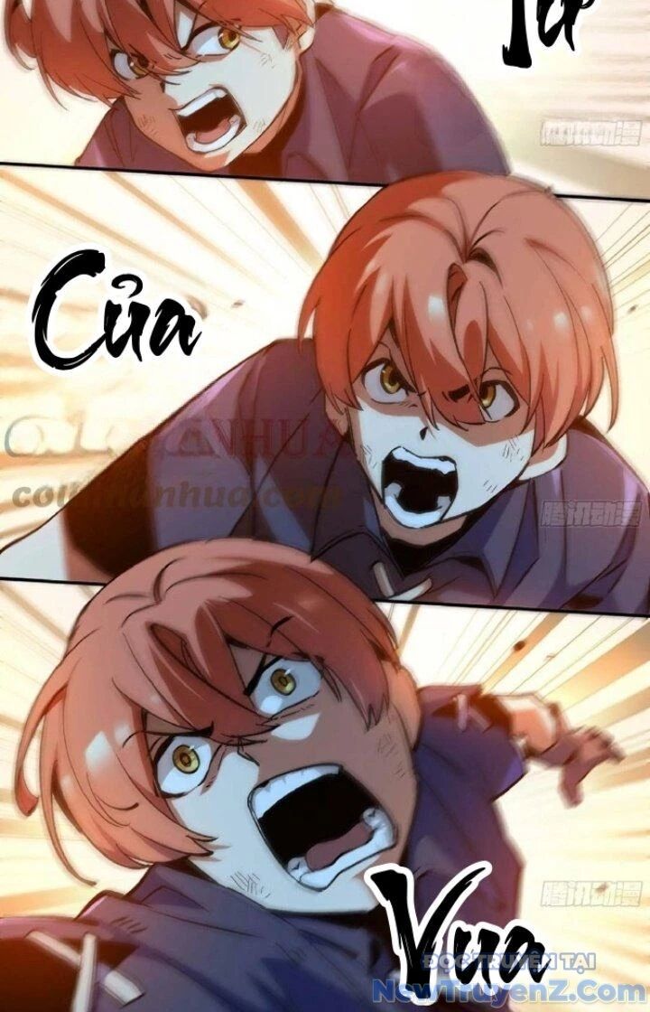 Dũng Sĩ Nấm Chương 89 Ảnh 35